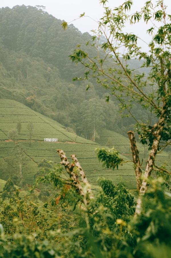 مبيت وإفطار نوفارا إيلِيا The Train View المظهر الخارجي الصورة