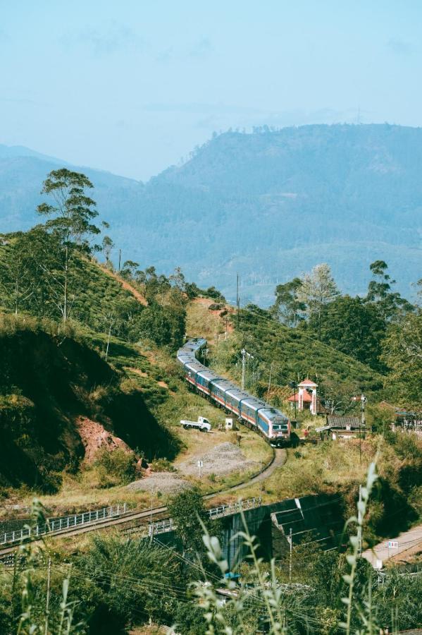 مبيت وإفطار نوفارا إيلِيا The Train View المظهر الخارجي الصورة