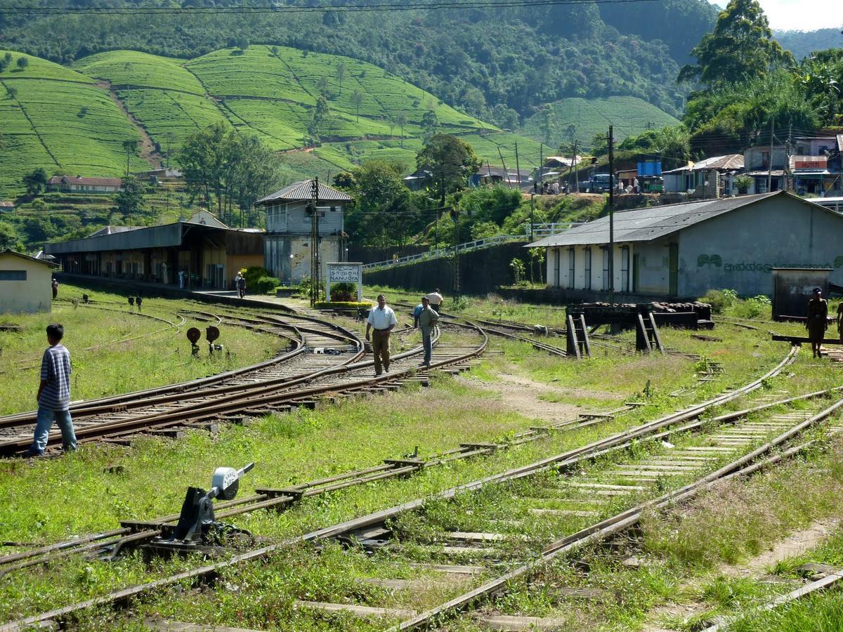 مبيت وإفطار نوفارا إيلِيا The Train View المظهر الخارجي الصورة
