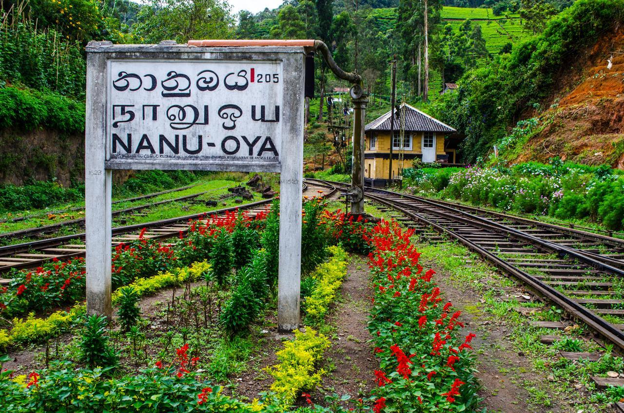 مبيت وإفطار نوفارا إيلِيا The Train View المظهر الخارجي الصورة